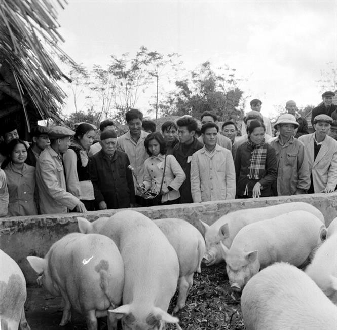 The leader (fourth, left) devoted his entire life to the cause of national and international revolutions. (Photo:VNA)