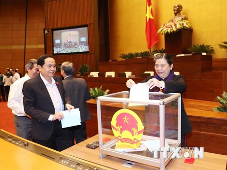 NA Vice Chairwoman Tong Thi Phong cast her vote at the event (Source: VNA)