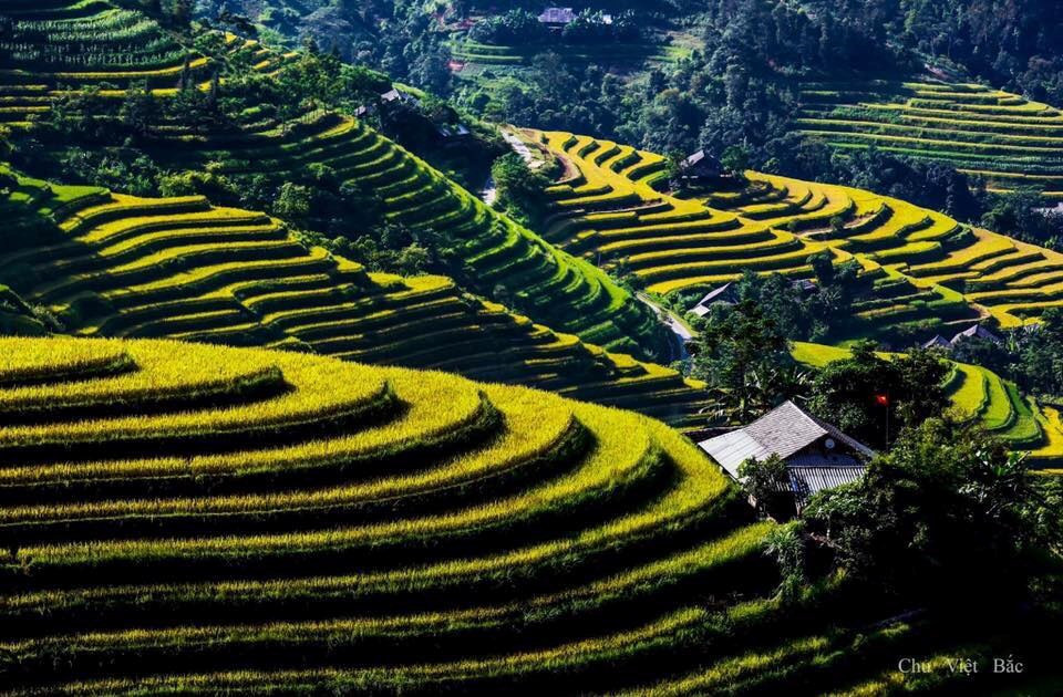 A cultural and tourism festival promoting the beauty of Hoang Su Phi’s terraced fields and ethnic culture kicked off on September 28 (Photo: VNA)