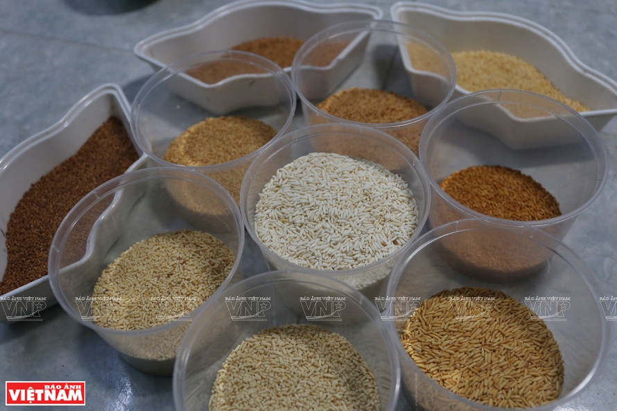 Each type of rice is used for different purposes: ordinary rice for thin details; sticky rice for big details and broken rice for small details. (Photo: VNP/VNA)
