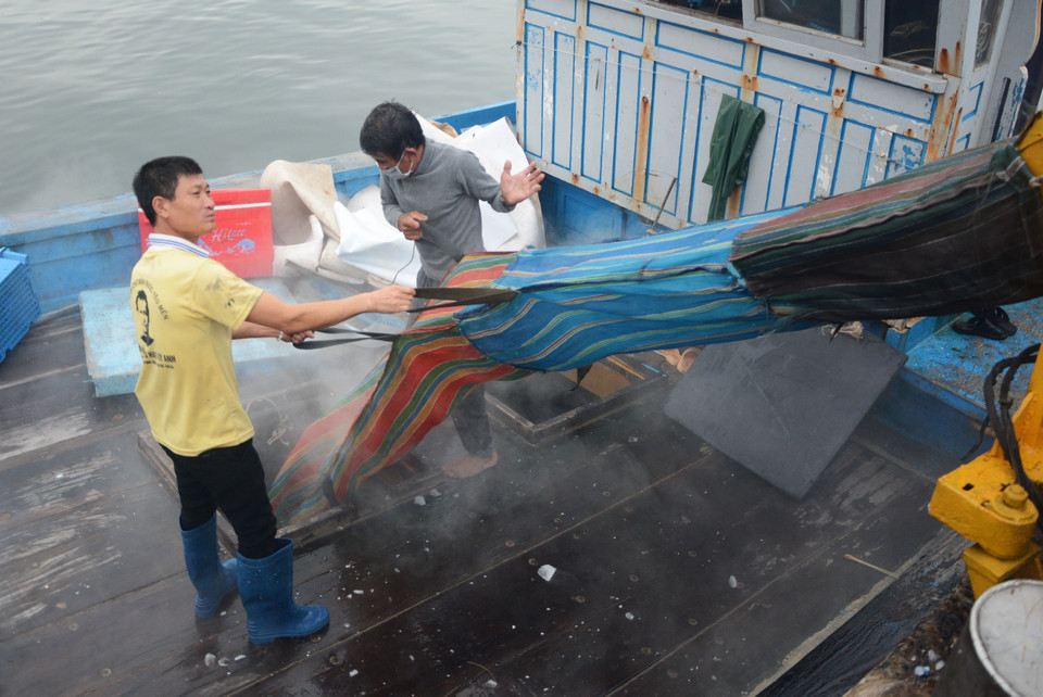 Fishermen in the central city of Da Nang prepare for their offshore fishing after Tet.(Photo: VNA)