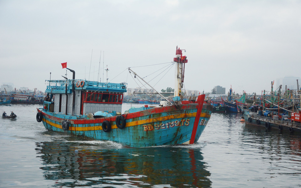 In recent days, hundreds of fishermen whose fishing boats have been anchored at the Tho Quang Fishing Port have been busy rechecking machinery, and preparing for fishing gear and other necessities, to get ready for their first offshore fishing trips.(Photo: VNA)