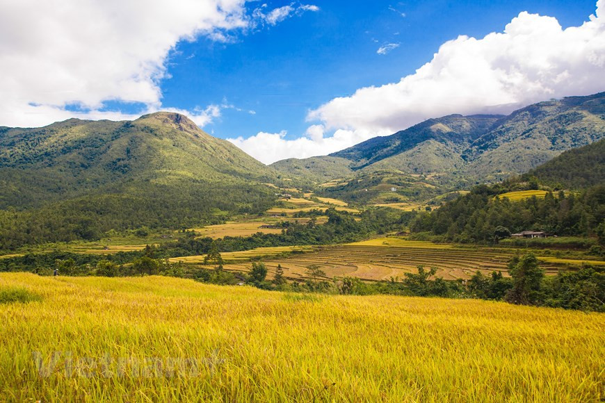 From the glossy yellow hues of staircase rice fields to the magnificent mountain landscape and natural waterfalls, the area visually amazes at every turn. (Photo: VNA)