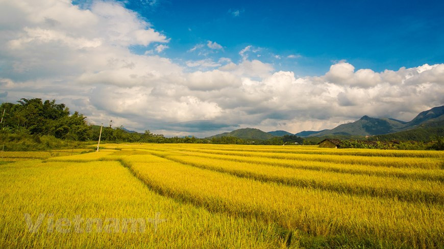 Although Binh Lieu is endowed with a charming beauty all year-round, the district particularly strikes visitors when fall transitions to winter. (Photo: VNA)