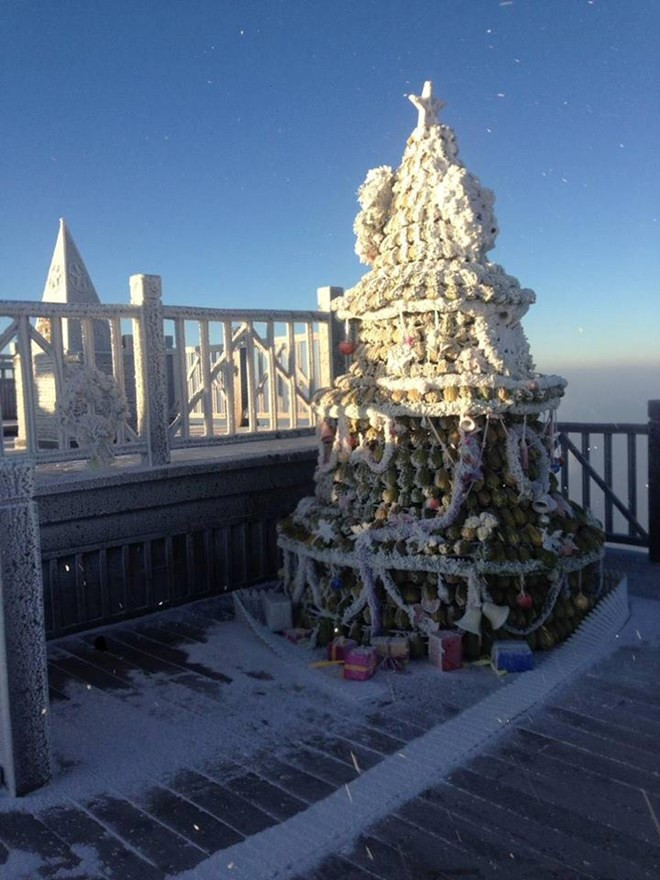 A Christmas tree is covered by snow (Photo: VNA)