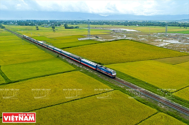 The North-South railway takes visitors through golden rice fields. (Photo: VNP/VNA)