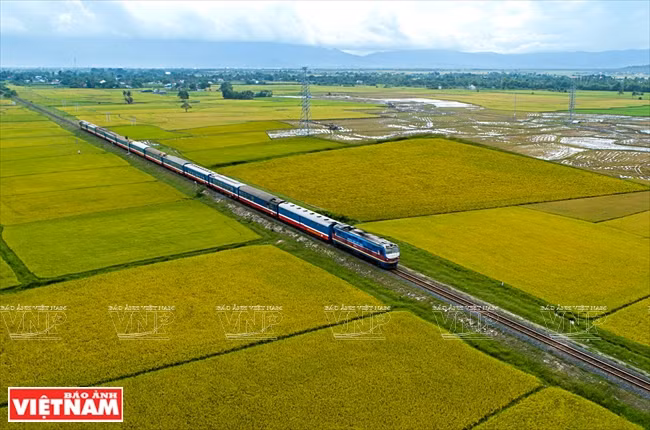 The North-South railway takes visitors through golden rice fields. (Photo: VNP/VNA)