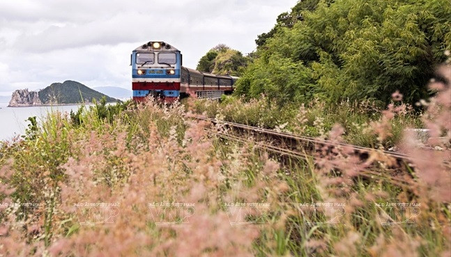 The Reunification Express passes through the central province of Phu Yen. (Photo: VNP/VNA)
