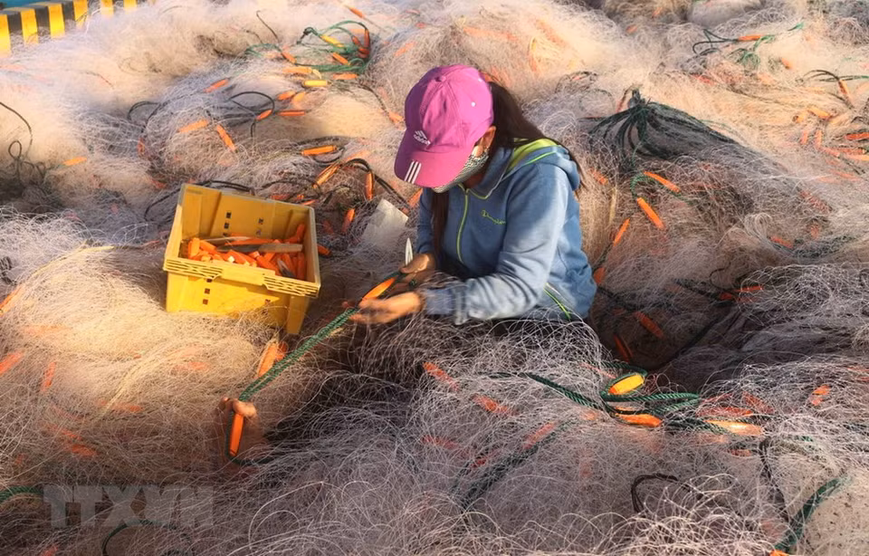 Fishing net weaving has quickly grown in many localities within Nghe An province (Photo: VNA)