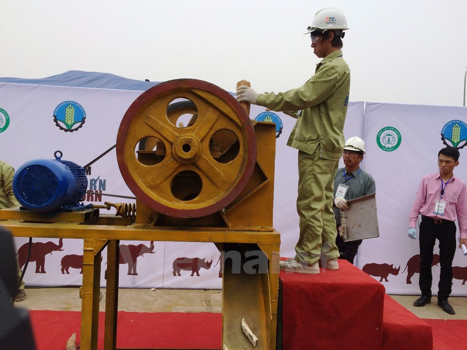 Crushed elephant tusks will be burned at about 1,200°C (Photo: VNA)