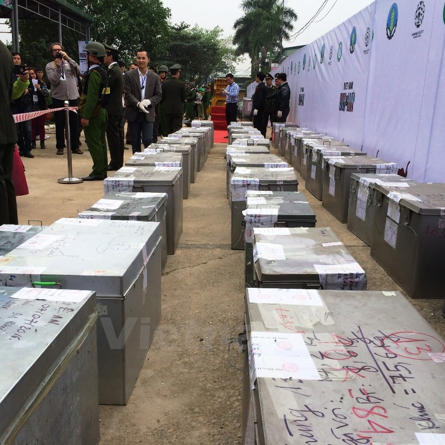 This is the first time Vietnam has destroyed such a large amount of trafficked elephant tusks and rhino horns (Photo: VNA)