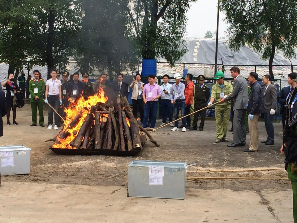 Representatives of international organisations light the fire to burn rhino horns (Photo: VNA)