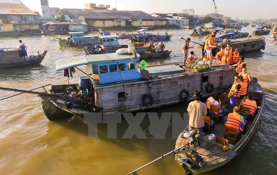 Tourists visit a ​boat at Cai Rang (Photo: VNA)