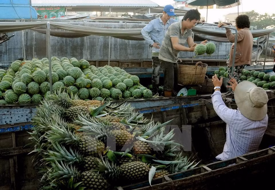 Fruits are the most popular items for sale at Cai Rang (Photo: VNA)