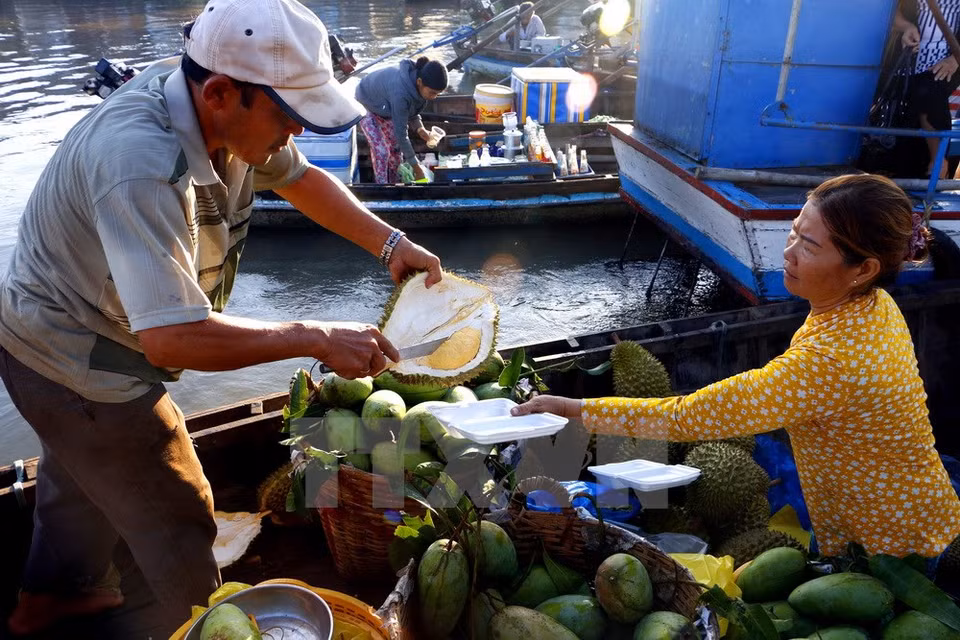 ​Vendors prepare fruits for sale (Photo: VNA)