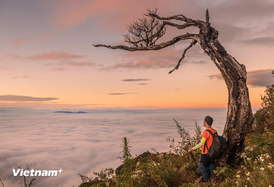 Travellers tackling the Lao Than trail should plan their time to witness both the sunrise and the sunset. This spot is noted for having the earliest sunrise and the latest sunset in Y Ty, Lao Cai province. (Photo: Vietnam+)