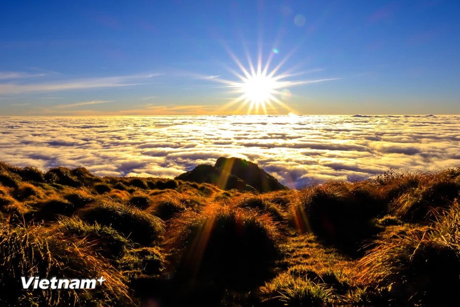 Conquering this trekking trail, which rises to an altitude of 2,913 metres above sea level, requires two days and one night. Those who undertake it are rewarded with breathtaking natural vistas. (Photo: Vietnam+)