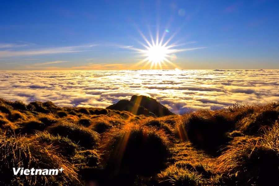 Conquering this trekking trail, which rises to an altitude of 2,913 metres above sea level, requires two days and one night. Those who undertake it are rewarded with breathtaking natural vistas. (Photo: Vietnam+)
