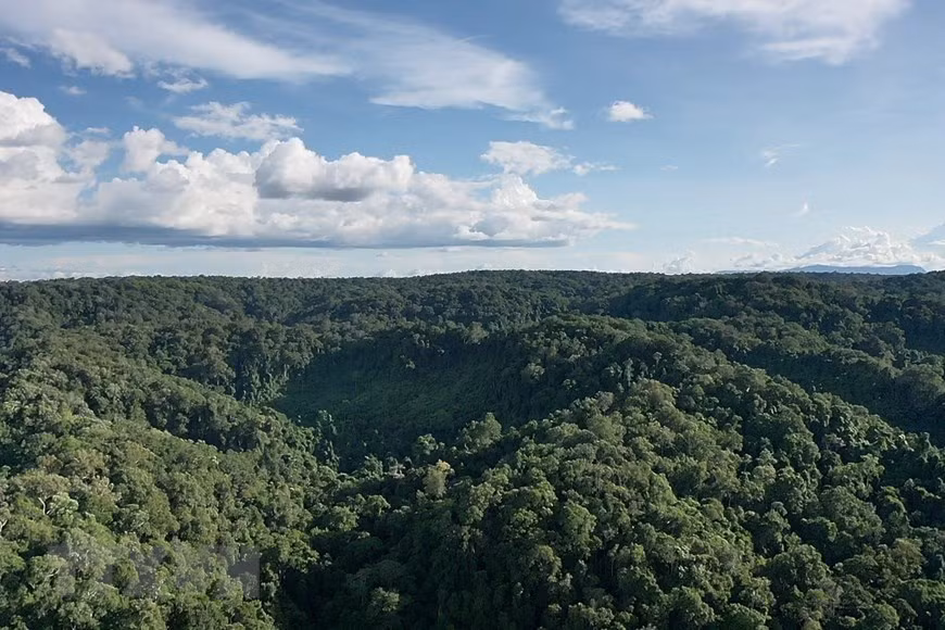 The fauna and flora in the core zone of Kon Ka Kinh National Park are diverse and abundant (Photo: VNA)