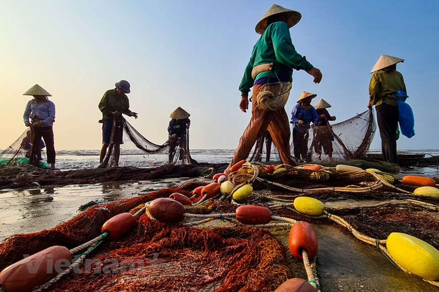Locals look for fish from nets (Photo: Vietnam+)