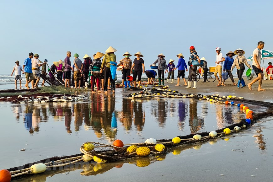 Merchants and fishermen busy trading fresh catches (Photo: Vietnam+)