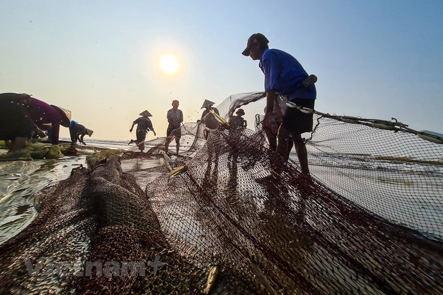 Locals pull fishing nets from the boat and sort out catches for selling (Photo: Vietnam+) 