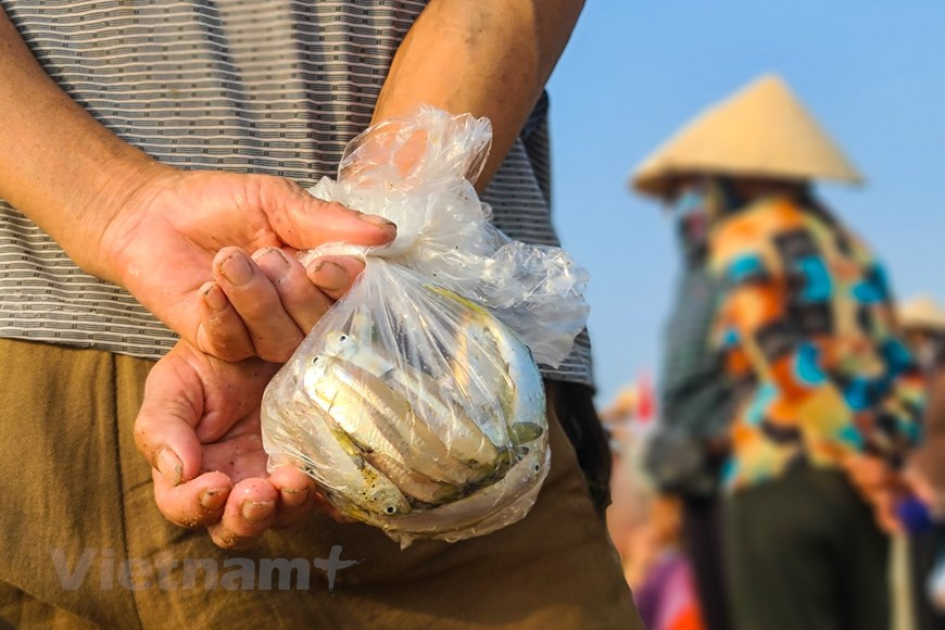 Fishermen often start their fishing trip at midnight and then come back by dawn (Photo: Vietnam+)