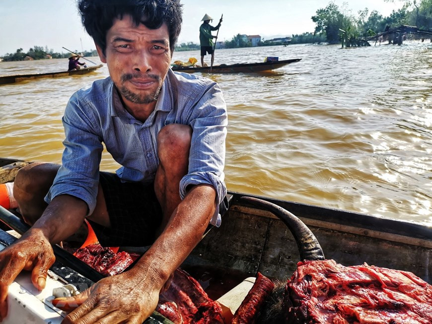 Nguyen Van Hat, a local in Phu Thuy commune, Le Thuy district, Quang Binh province has to butcher his buffalo for daily meals during flood (Photo: VNA)