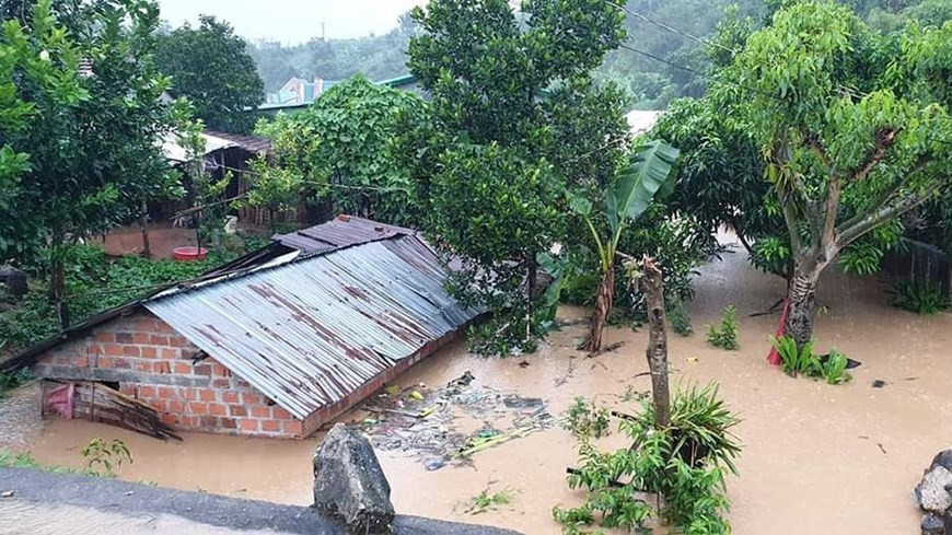 Hundreds of households in Dak Pek commune, Dak Glei district, Kon Tum province, are evacuated from their houses due to floods. (Photo: VNA)