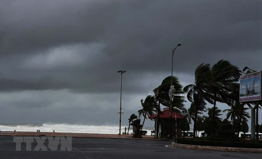 Vo Nguyen Giap street in Da Nang city amid storm (Photo: VNA)