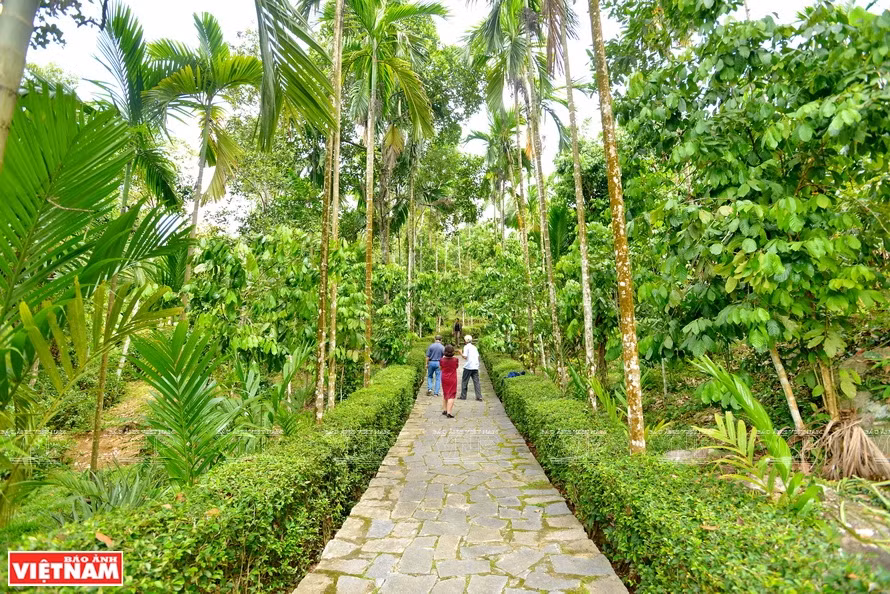 Life may be bustling somewhere, but Loc Yen remains green and peaceful (Photo: VNP/VNA)