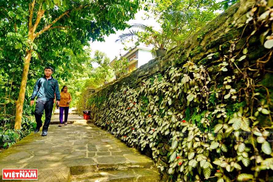 Road paved with rock and rock fence are a typical feature of the village (Photo: VNP/VNA)