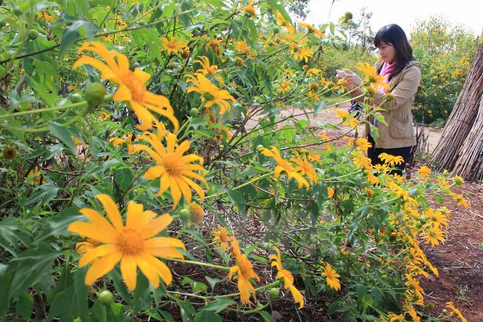 A close look at da quy (Photo: VNA)