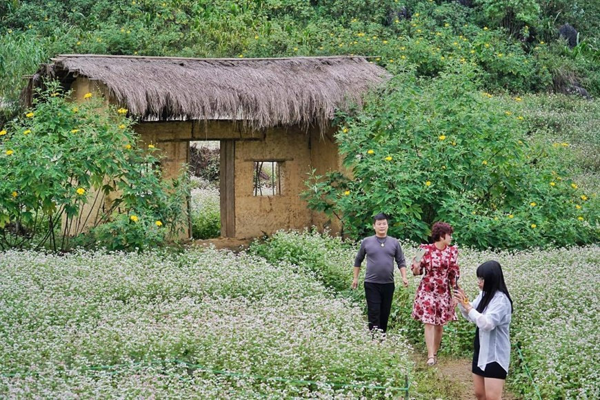 Ha Giang is known as a 'paradise' with beautiful rice terraces and buckwheat flowers (Photo: Xuan Mai/ Vietnamplus)
