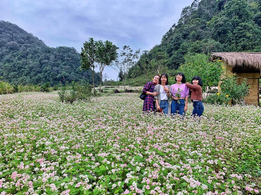 Ha Giang, located in the far north of Vietnam spellbinds tourists by the magnificent rocky plateaus, winding passes, picturesque terraced fields and especially enchanting buckwheat flower fields. (Photo: Xuan Mai/ Vietnamplus)