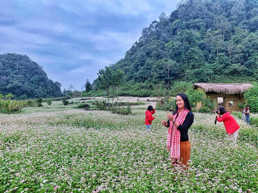 The fields have become ideal check-in spots for young visitors (Photo: Xuan Mai/ Vietnamplus)