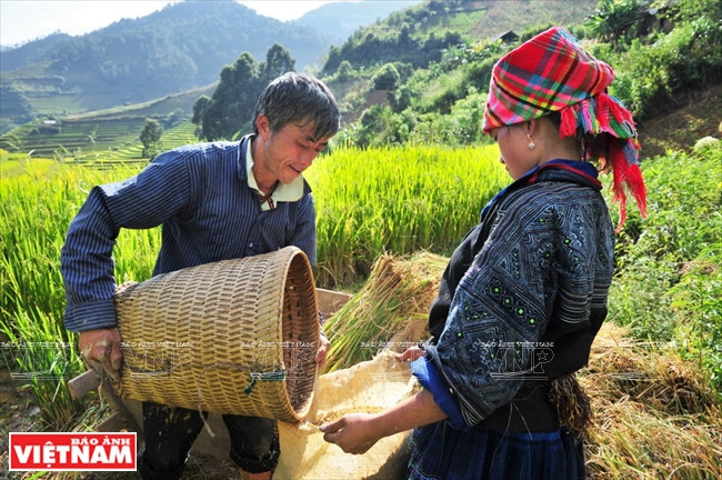 Baskets full of golden rice represent the wealth of ethnic people in the Northwest. (Source: VNA)