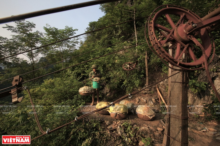 The custard apples on the mountain are collected by local people and then packed in a basket and inserted into the pulley and moved to the foot of the mountain.(Photo: VNP/VNA)