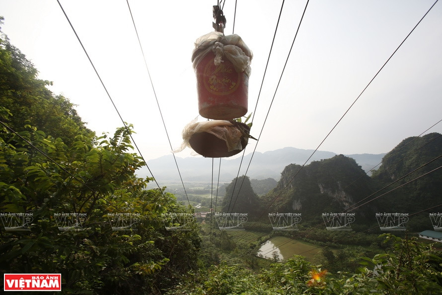 Custard apples are carried by the pulley.(Photo:VNP/VNA)