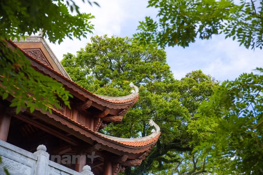 The roof of a structure at Cua Ong Temple. The festival of Cua Ong Temple is held biennially, from the second to the fourth day of the second lunar month every even year, with a number of rituals and festive activities. The event is held to pay tribute to Tran Quoc Tang, who contributed to defeating the Mongol invaders and bringing peace to the northeastern region of the country. Festivities, including rituals, parades, and palanquin processions, usually last until the end of the third lunar month. The main festive days fall on the third and fourth days of the second lunar month (Photo: VietnamPlus)