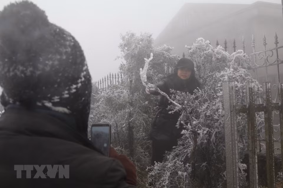 Tourists are interested in posing pictures with ice and snow on the top of Mau Son mountain, Lang Son province (Photo: VNA)