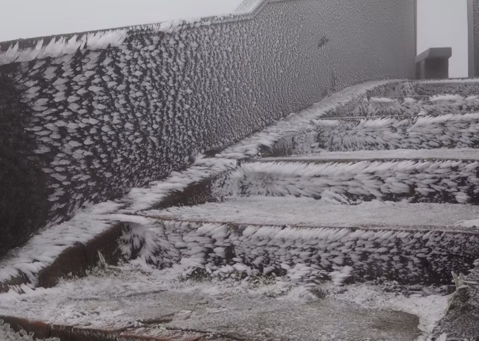 On January 8, ice appeared on top of Mau Son mountain, Loc Binh district, Lang Son province. The temperature in the area was about minus 1.6 ºC (Photo: VNA)