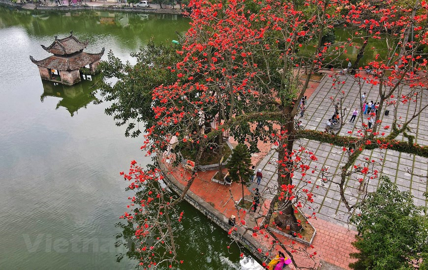 In March, the red silk-cotton flowers at Thay Pagoda in Hanoi’s outskirts district of Quoc Oai are in full bloom, beautifying the ancient pagoda. (Photo: VNA)