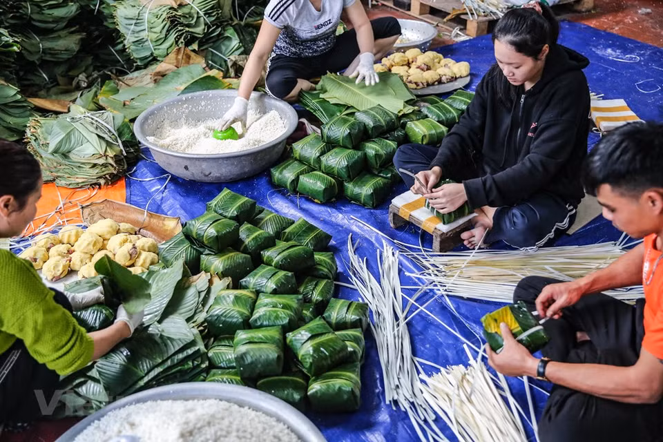 Despite being busy supplying cakes for Tet, the people of Tranh Khuc village still ensure that the whole process of making Chung cake is carried out carefully. People here said that making Chung cake is not difficult, but each stage must be meticulous and thorough. In order to have good cakes, they have to carefully choose rice, bean, pork, and leaves. Good rice is Hai Hau variety. The pork should be half fat and half lean meat (pork side) so the cake will not be dry. Chung cakes of Tranh Khuc village are sold in all major markets in the capital and account for 50 percent of Hanoi’s market share. (Photo: Minh Son/Vietnam+)