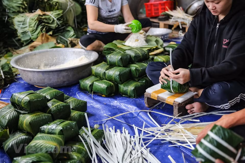 The people here prepare for Tet (Lunar New Year) holiday from early December and are busy for the entire month. Making Chung cake is a traditional business in this farming village and has remained very successful. It helps villagers improve their livelihood. In Tranh Khuc village, almost every house packs Chung cake all year round. 90 percent of Tranh Khuc Village population participate in making Chung cake. The cakes have been famous for 40-50 years. Each family here has 10-25 workers with 5-10 big pots to cook the traditional cake. Their business used to be retail sales but now it has grown to wholesale. (Photo: Minh Son/Vietnam+)
