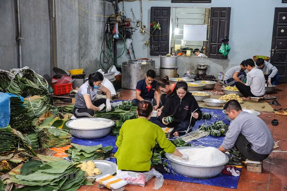 The people here prepare for Tet from early lunar December and are busy for the entire month. They welcome the New Year after the last cake has been sold. Tranh Khuc Village has 90 percent of its population making Chung cake. They have been famous for 40-50 years. They don’t even need a mould to wrap Chung Cake in the right manner. Many masters can make hundreds of cakes of the same size. Their business used to be retail sales but now it has grown to wholesale. Making Chung cake is a traditional business in this farming village and has remained very successful. (Photo: Minh Son/Vietnam+)