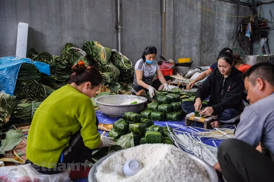 (Thanh Khuc) or Tranh Khuc village at Duyen Ha commune in Thanh Tri district on the outskirts of Hanoi is famous for making their traditional Chung cake. This is a place where the spirit of Tet comes alive the earliest in Hanoi. Tranh Khuc village is particularly busy at the end of the year. On these days, the spring and traditional Tet atmosphere is prevailing over the village. All villagers from the elderly to children are involved in making Chung cake such as washing Dong wrapping leaves and rice, steaming green beans, preparing meats, and wrapping the cakes to supply the Tet market. (Photo: Minh Son/Vietnam+)