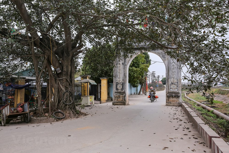Tranh Khuc village in Thanh Tri district on the outskirts of Hanoi is famous for making Chung cake, a typical sticky rice cake for the traditional Lunar New Year Holiday or Tet in Vietnam. On these days, the atmosphere of the Spring and traditional Tet is prevailing over the village. All villagers from the elderly to children are involved in making Chung cake such as washing Dong wrapping leaves and rice, steaming green beans, preparing meats, and wrapping the cakes to supply the Tet market. The gate leading to Tranh Khuc village in Thanh Tri district on the outskirts of Hanoi. (Photo: Minh Son/Vietnam+)