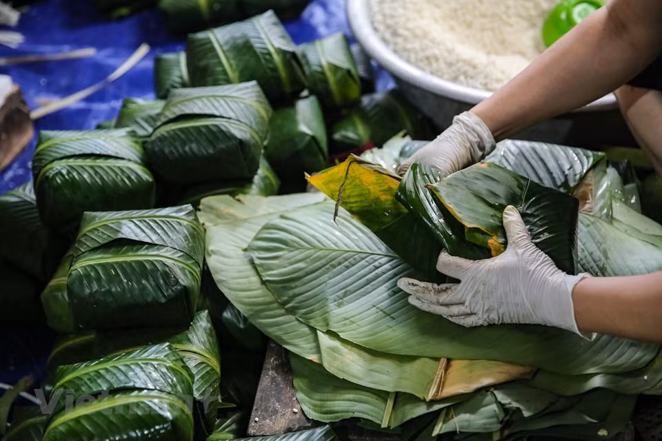 The people of Tranh Khuc not only consider this as a job to earn a living, but also put their heart into each batch of cakes, thus creating a famous brand of Chung cake from near and far. As the Lunar New Year approaches, 116 households making Chung cake in Tranh Khuc village are busy wrapping cakes. People here said that making Chung cake is not difficult, but each stage must be meticulous and thorough. In order to have good cakes, they have to carefully choose rice, bean, pork, and leaves. Good rice is Hai Hau variety. The pork should be half fat and half lean meat (pork side) so the cake will not be dry. (Photo: Minh Son/Vietnam+)