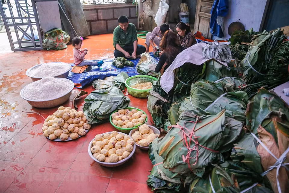 As the Lunar New Year approaches, 116 households in Tranh Khuc village are busy wrapping cakes. A household with large facility can produce thousands of cakes per day. In order to have good cakes, they have to carefully choose rice, bean, pork, and leaves. Good rice is Hai Hau variety. The pork should be half fat and half lean meat so the cake will not be dry. Chung cakes of Tranh Khuc village are sold in all major markets in the capital such as Ngoc Ha, Doi Can, and Quan Thanh and account for 50 percent of Hanoi’s market share. Overseas Vietnamese people bring Chung cake with abroad. (Photo: Minh Son/Vietnam+)